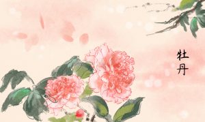 四月，牡丹花绽放|PA视讯·游戏官网 - PlayAce
2022年4月优秀质量奖获得者风采展示